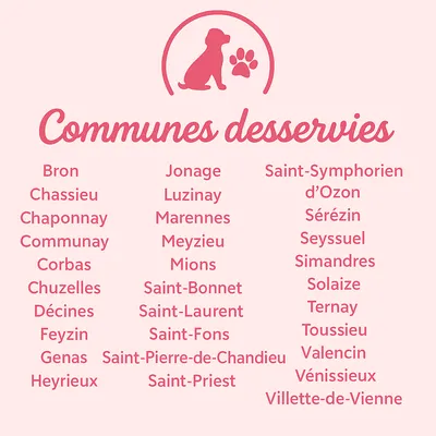 Dog Fantasy - toilettage à domicile