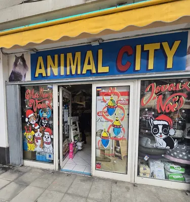 Animal City & Co