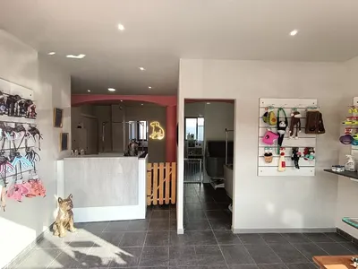 Esprit Canin
