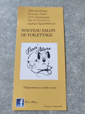 Flair'Allure
