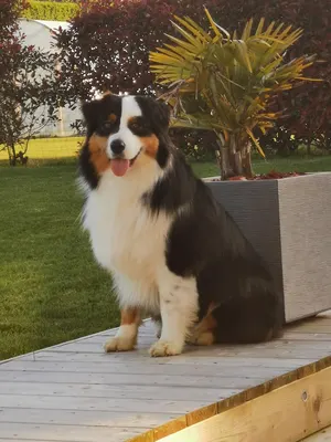 Mille Pat'hôtel