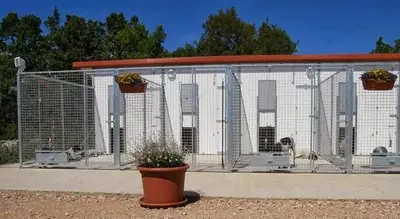 Pension - Toilettage Canin