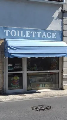 Toilettage Quat Pattes