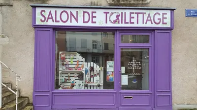 Salon de Toilettage Zen Canin