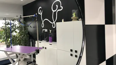 Le Salon de Jump Toilettage
