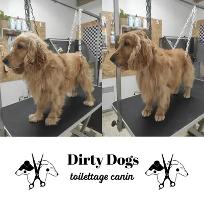 Dirty Dogs