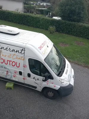 Toilettage Dmeltoutou