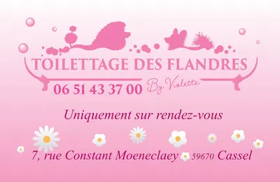 Toilettage Des Flandres