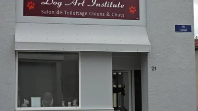 Chiens d'aujourd'hui