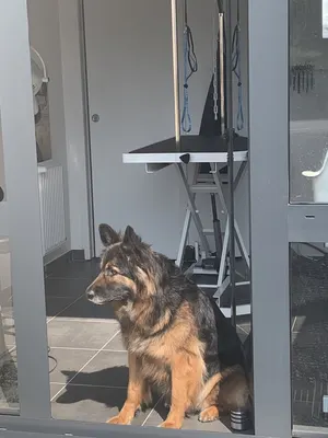 Boileau Thibout Patricia