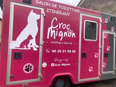 Croc Mignon