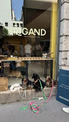 Brigand