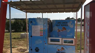 Dog Wash