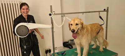 Allez hop, au bain!