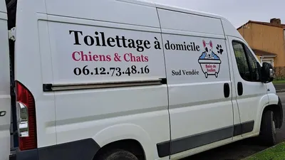 Bain de Bulles Toilettage à domicile