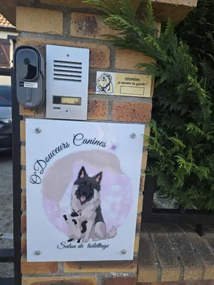 O' Douceurs Canines