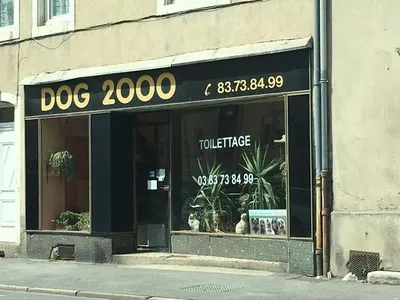 Dog 2000