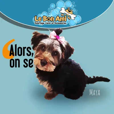 Le Bon Ami