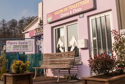 Toiletteur Haguenau - Au Figaro Canin
