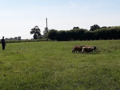 Pension du val de Cassel