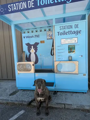 L A dogwash 84 station de lavage chien en libre service