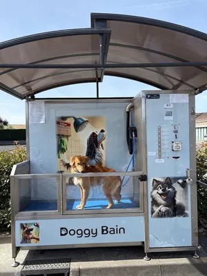 Doggybain - Issoire