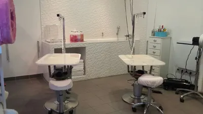 Toilettage Lorette