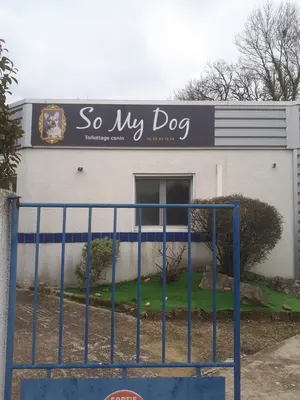 So My Dog