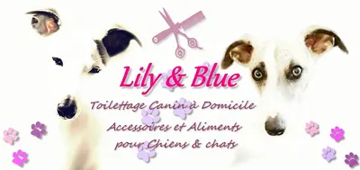 Lily & Blue Artisan Toiletteur Canin à Domicile