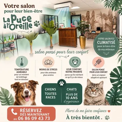 La Puce à l'Oreille