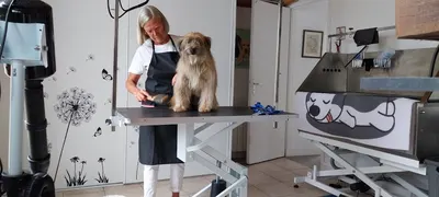 Caniboth'é