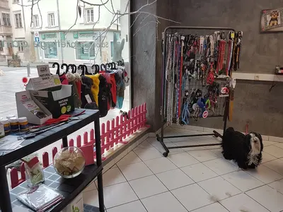 Elégance Canine