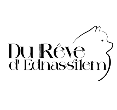 Du rêve d’Ednasiilem