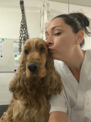 Spa Canin Ligné