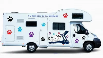 Au bien-être de vos animaux