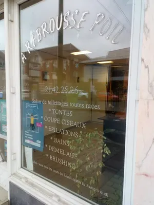 A Rebrousse Poil