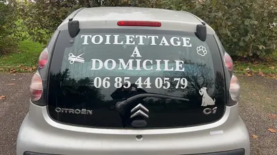 Lucie Ballet - Toiletteuse
