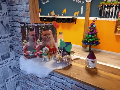 Comme Chien & Chat