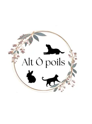 Salon de toilettage - Alt Ô Poils