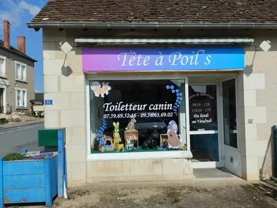 Toilettage tête à poil's