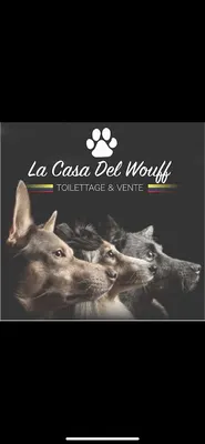 la casa del wouff