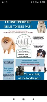 MaB'oule de Poils