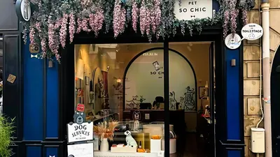 Michette Magasin d'accessoires et alimentation pour chiens et chats