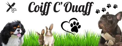 Coiff C'Ouaff