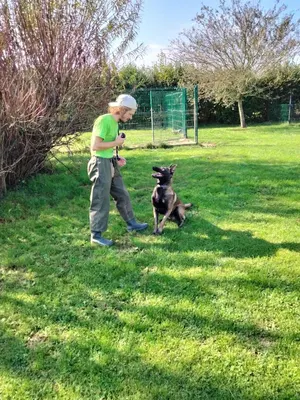Comme à la maison Pension canine familiale