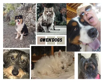 Gwen'Dogs