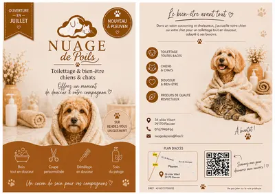 Nuage de poils