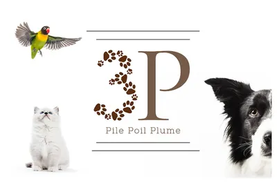 Pile Poil