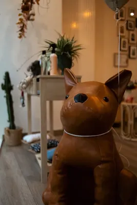 Aux Pattounes de Mimi