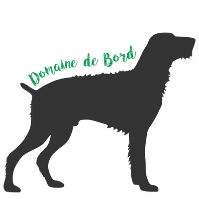 Domaine de bord